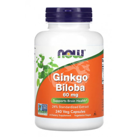 GINKGO BILOBA 60 mg 240 капс