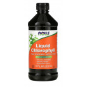 Liquid Chlorophyll & Mint   473 мл