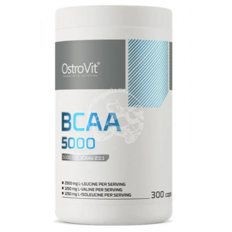 BCAA 5000 mg 300 капс