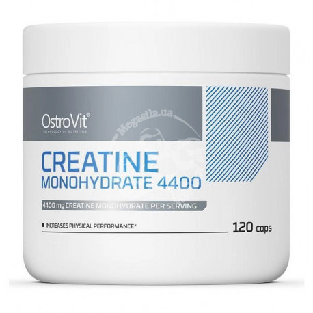 Creatine Monohydrate 4400 120 капс