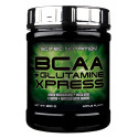 BCAA + Glutamine Xpress 300 грм