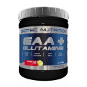 EAA + GLUTAMINE 300 грм. (33 порций)