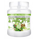 VITA GREENS & FRUITS 600 грм. (30 порций)