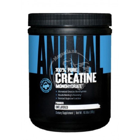 Creatine Monohydrate Powder 300 грамм