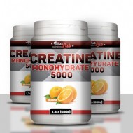 Creatine Monohydrate 5000 600 грам