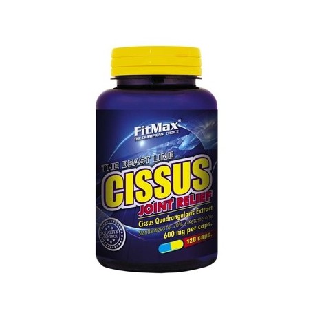 Cissuss 600 мг 120 капс