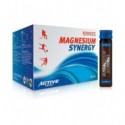 Magnesium Synergy Pack 25x11 мл