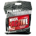 Mass Active 5000 грамм