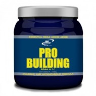 Pro Building BCAA 4:1:1 500 грам