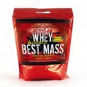 Whey Best Mass Authentic 3000 грамм