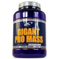 Gigant Pro Mass 3000 грам