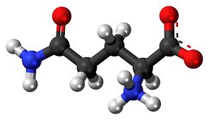 L-Glutamine