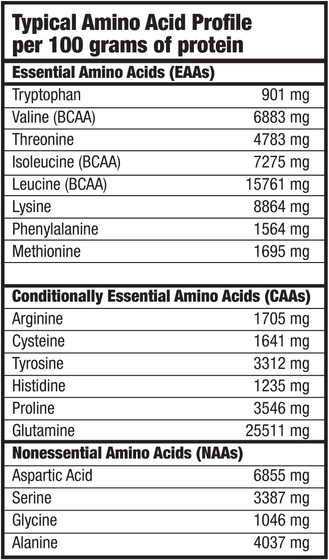 Protein-Power-BioTech-USA