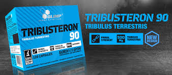 Tribusteron 90